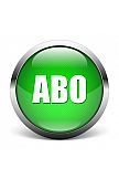 Kombi-Jahres-Abo, Ausland