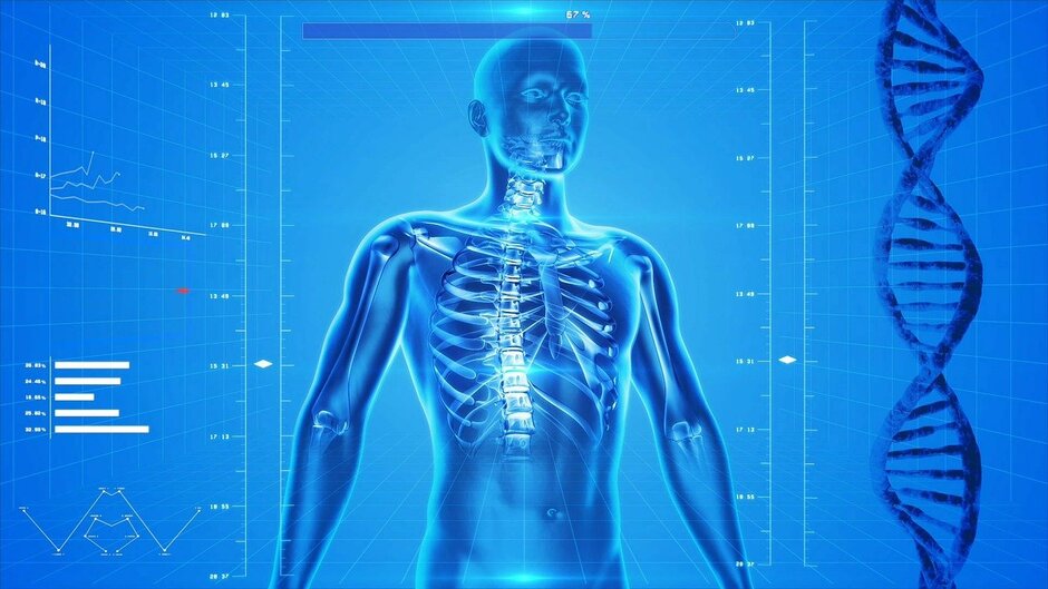 human-skeleton-ge795f4623_1280(1).jpg