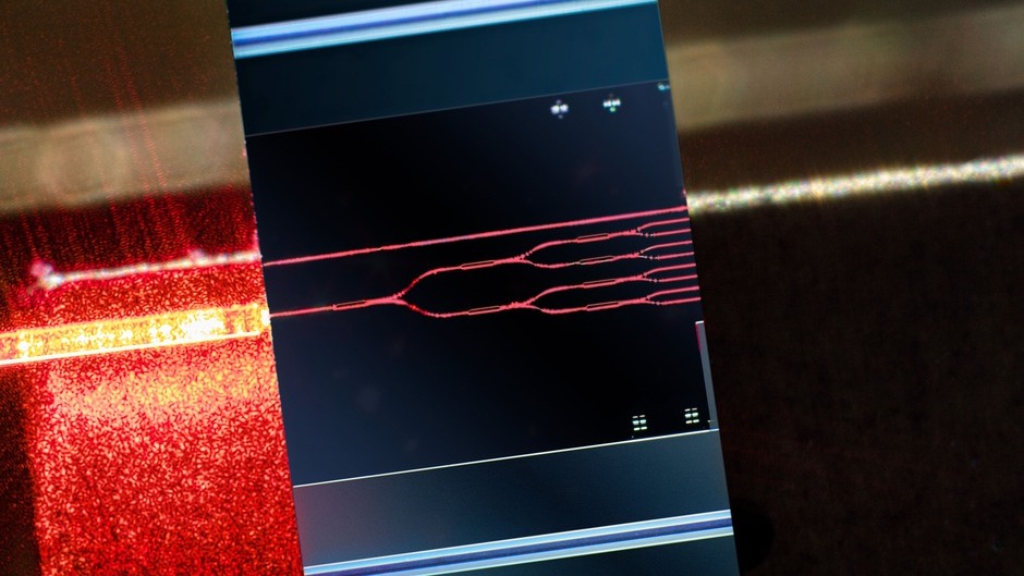 Priorität Cybersicherheit: Forscher*innen entwickeln photonische Verschlüsselungen