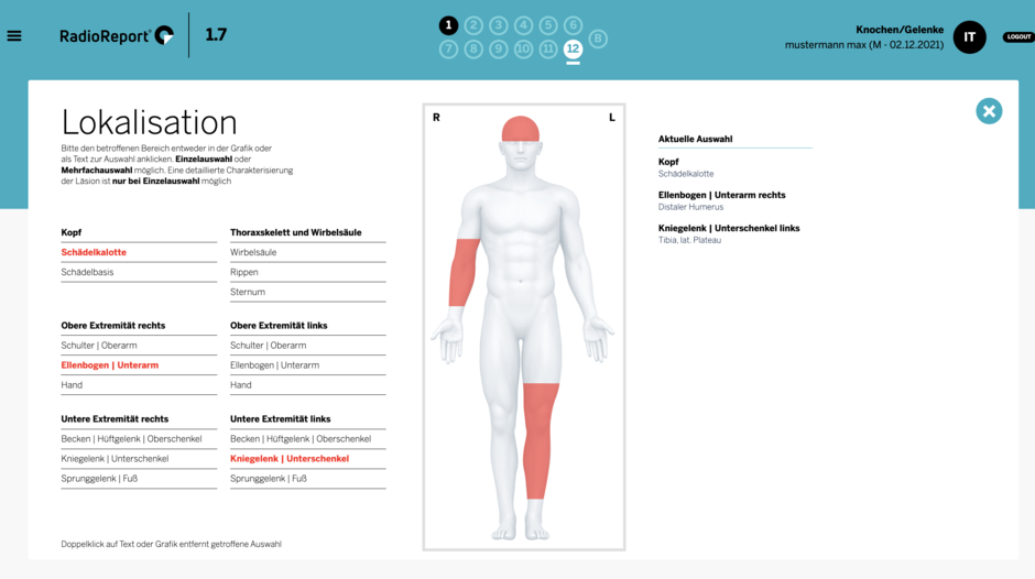 RadioReport_Modul Knochen und Gelenke(1)(1).png