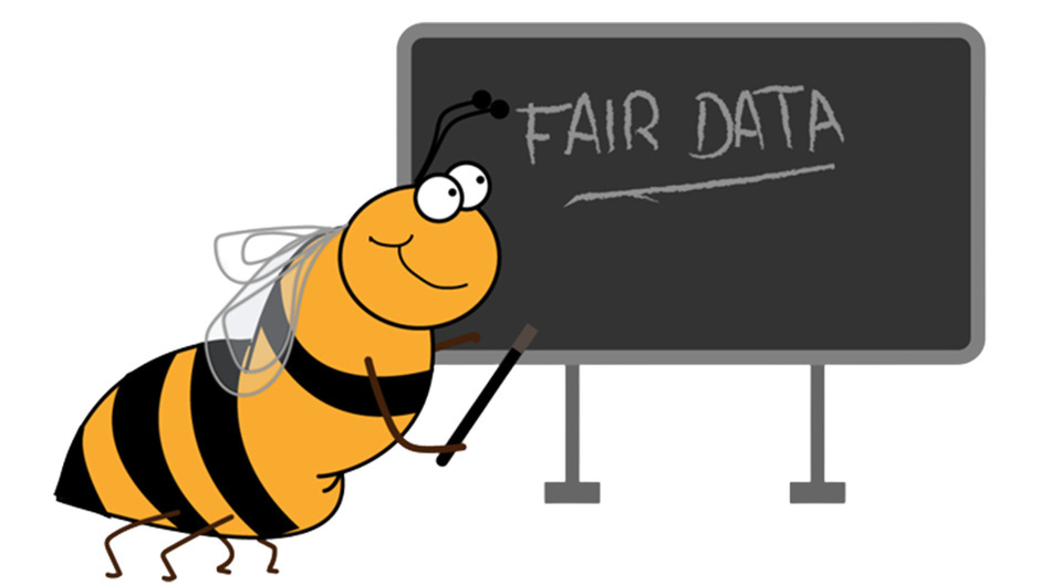 Nachhaltige Forschungsdatendokumentation in vier Schritten mit dem D-Psy-FAIR Standard erlernen