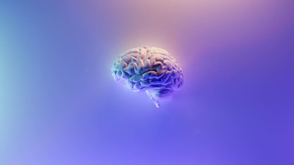 Blick ins Hirn: KI macht Neuroimaging zuverlässiger