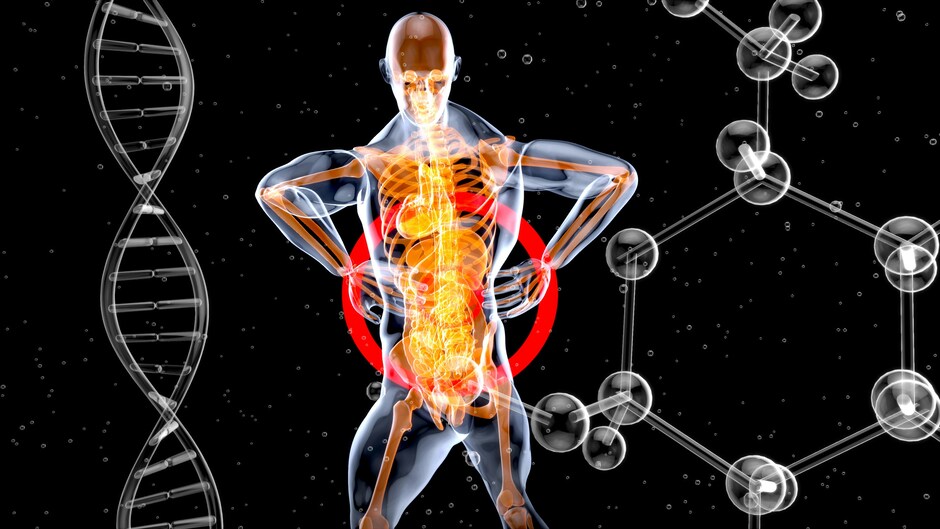 Teilnehmende gesucht für Studien zur Rückengesundheit