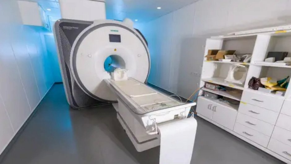 Neurowissenschaftliche Studie deckt einheitliche Hirncodes für Farbverarbeitung auf
