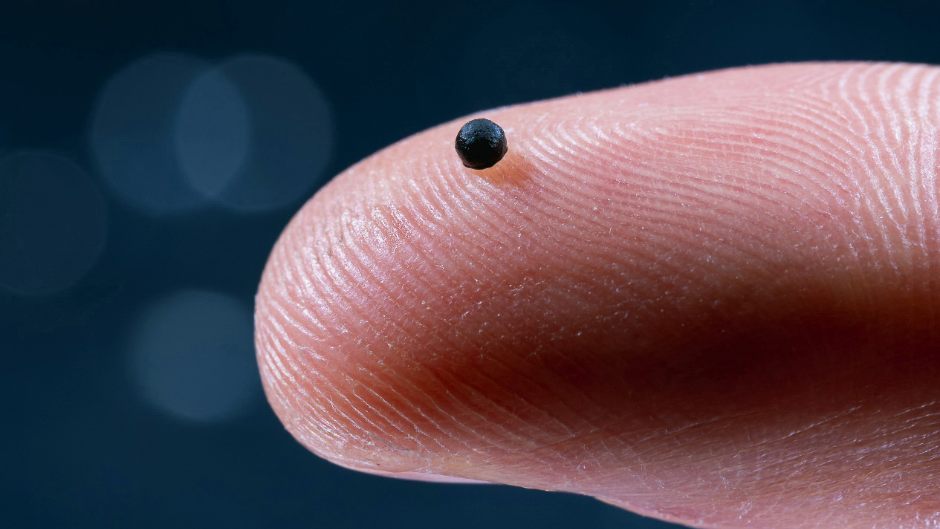 Mikroroboter transportiert Medikamente erstmals kliniknah direkt an den Wirkort