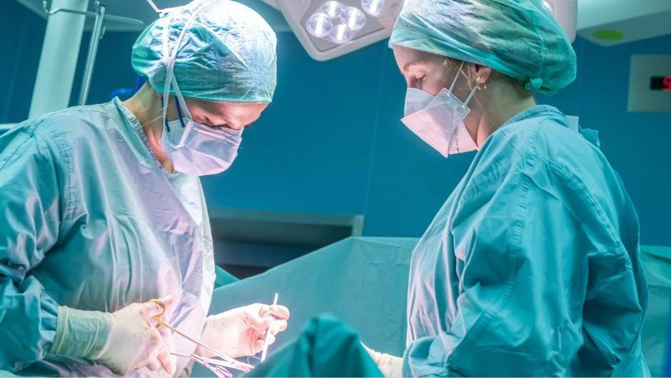 Ein Gerät – zwei Organe: Simultane Perfusion eröffnet neue Möglichkeiten für künftige Multiorgantransplantationen