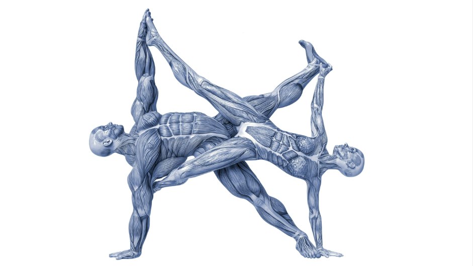 Millionenförderung für Graduiertenkolleg zur Gesundheit des menschlichen Bewegungsapparats