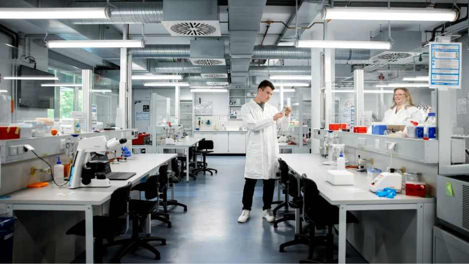 Neues 3D-Darm-Modell der Universität Siegen deckt Ursachen für gefährliche Darmblutungen auf