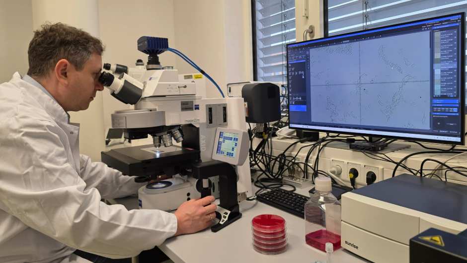 KI-Unterstütztes Mikroskop im Einsatz: Uni-Medizin Greifswald optimiert Diagnostik