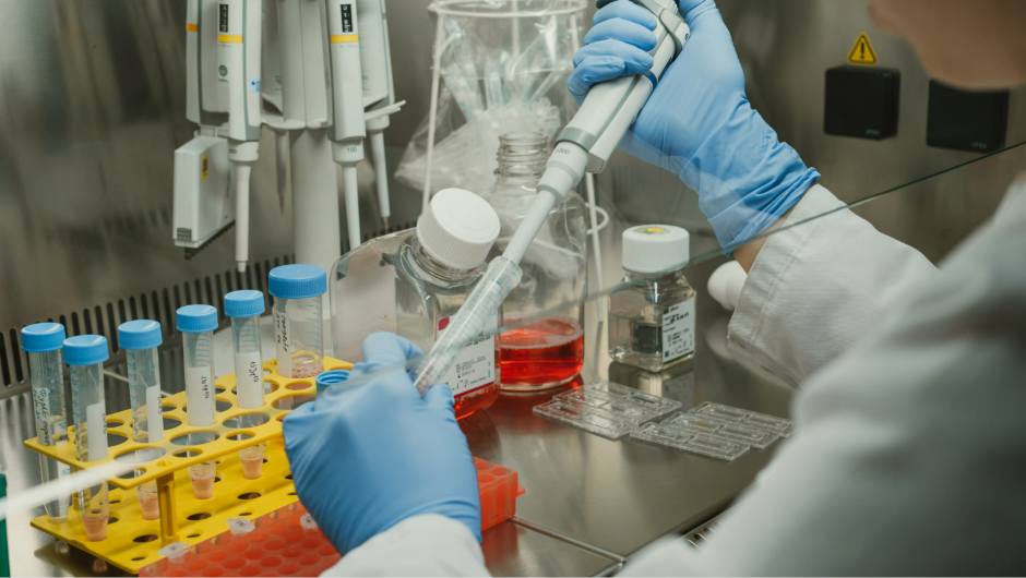 Charité-Ausgründungen fördern Innovationen für eine verbesserte klinische Versorgung