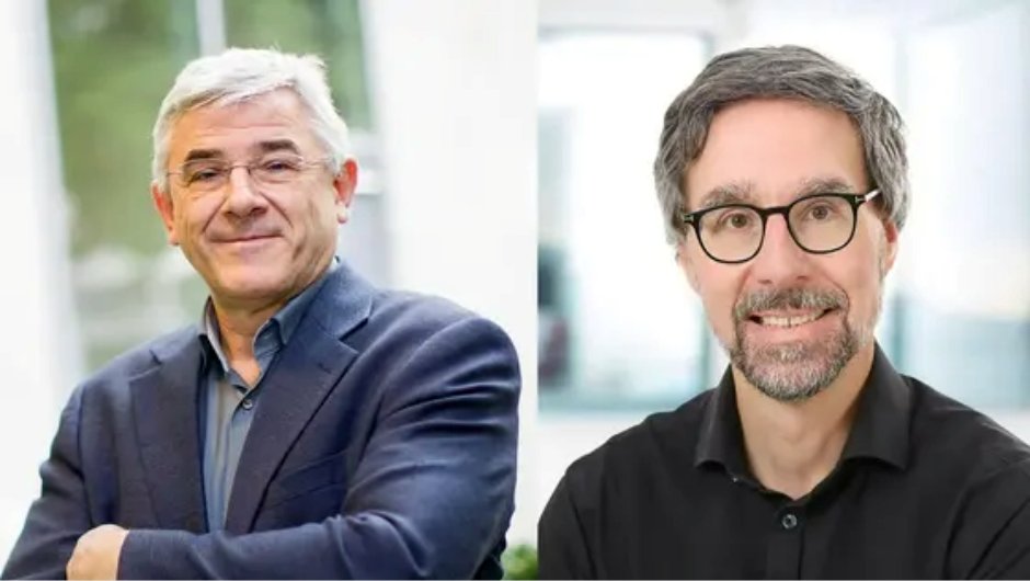 Doppelte ERC-Förderung stärkt KI- und Immunforschung am DKFZ