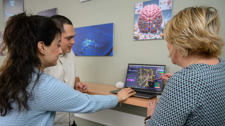 3D-Modell entschlüsselt Hirnmetastasen bei Brustkrebs 3D-Modell entschlüsselt Hirnmetastasen bei Brustkrebs