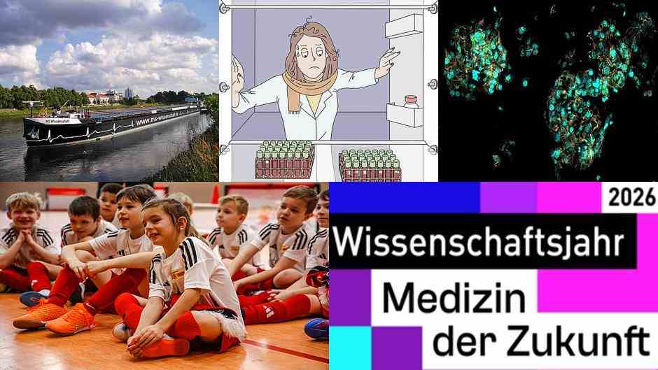 Medizin der Zukunft: Die Charité im Wissenschaftsjahr 2026