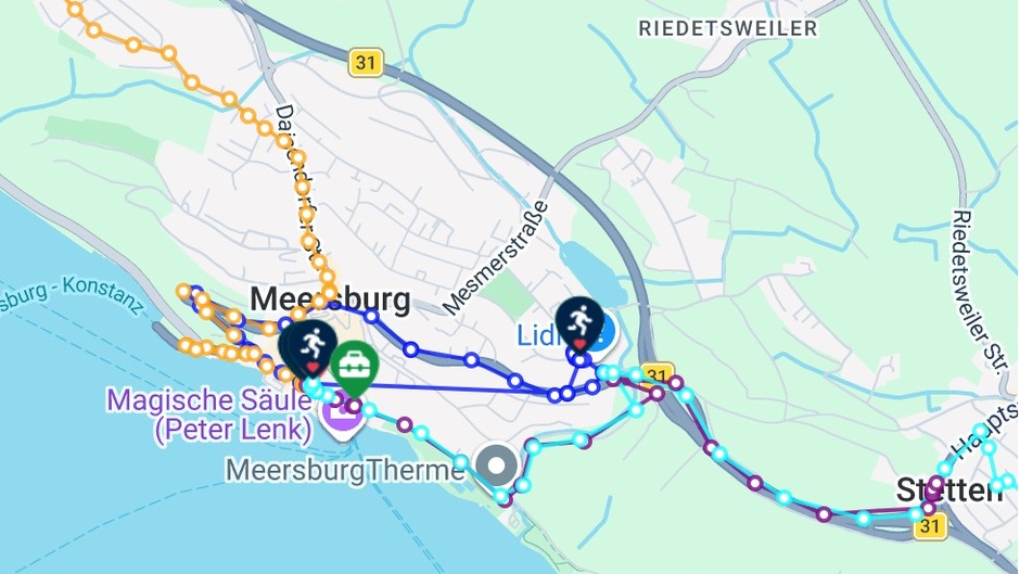 Ersthelfer-App rettet Leben am Bodensee - Gute Überlebenschancen Dank des Herz-Stillstand-Zentrums