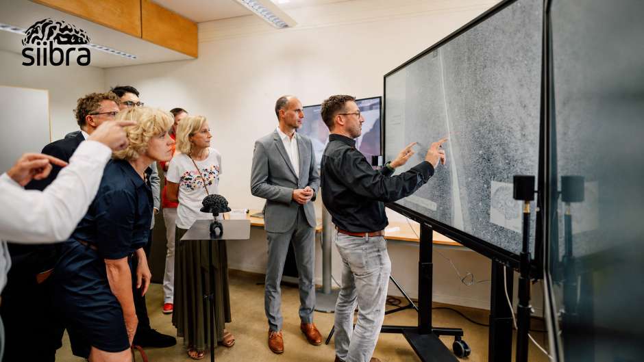 „siibra“ vereint komplexe Hirndaten in einem digitalen Atlas