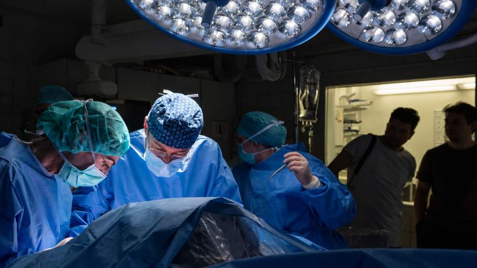 ETH Zürich entwickelt magnetisch gesteuerten Roboter für fetale Chirurgie ETH Zürich entwickelt magnetisch gesteuerten Roboter für fetale Chirurgie